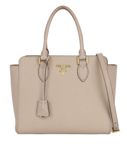 Vitello Phenix Tote, front view